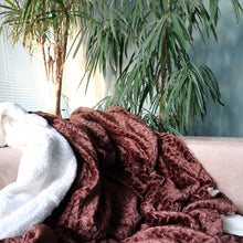 Afbeelding in Gallery-weergave laden, Fleece Deken Coral Fleece & Cozy Finish XL Bruin